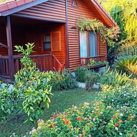 Leontopolis Apart Otel Çıralı Εξωτερικό φωτογραφία