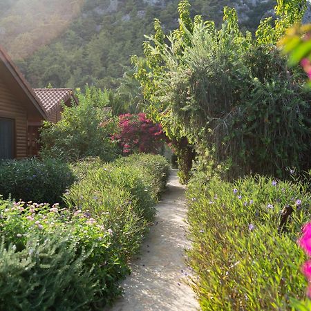 Leontopolis Apart Otel Çıralı Εξωτερικό φωτογραφία