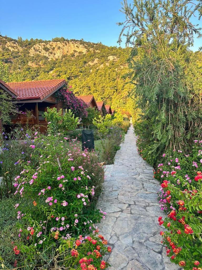Leontopolis Apart Otel Çıralı Εξωτερικό φωτογραφία