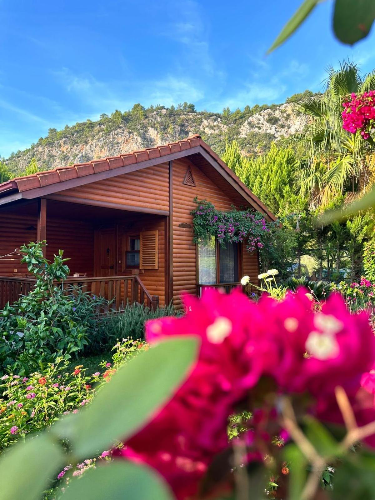 Leontopolis Apart Otel Çıralı Εξωτερικό φωτογραφία