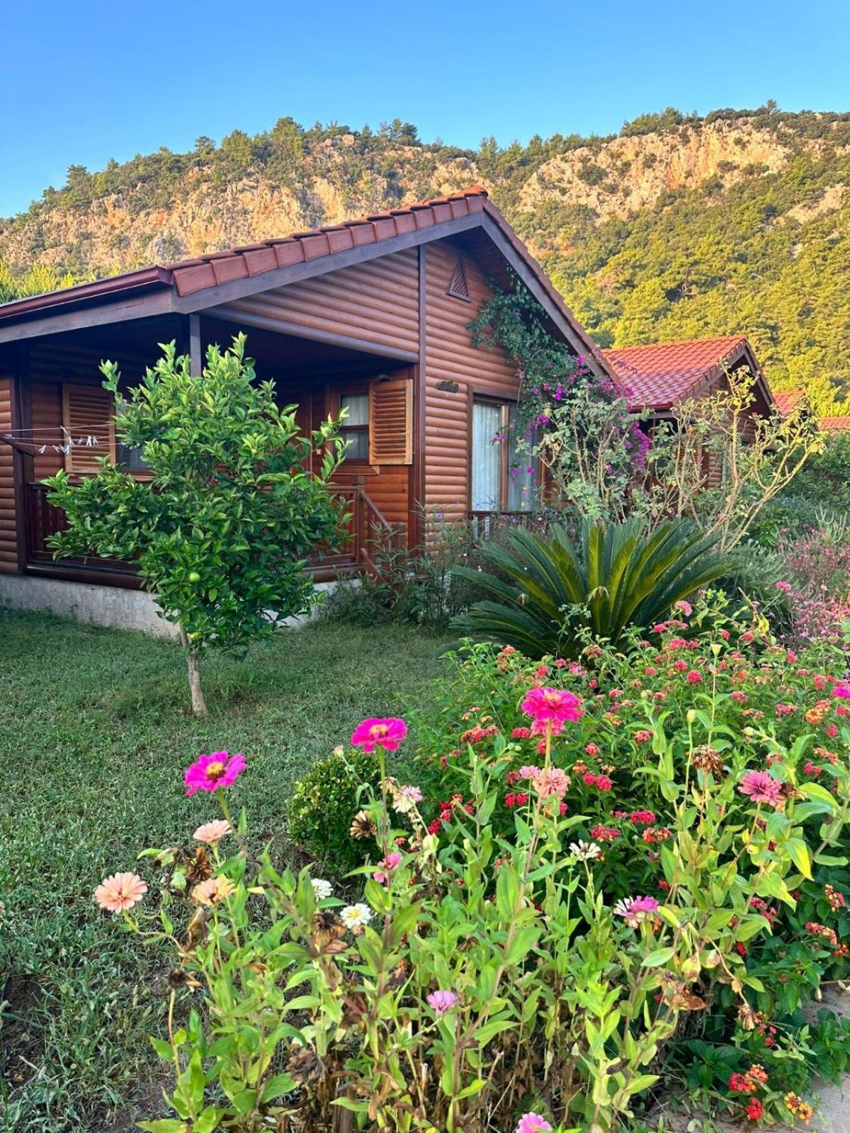 Leontopolis Apart Otel Çıralı Εξωτερικό φωτογραφία